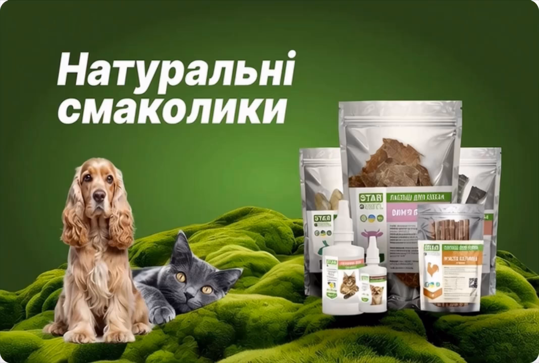 Головна Головна