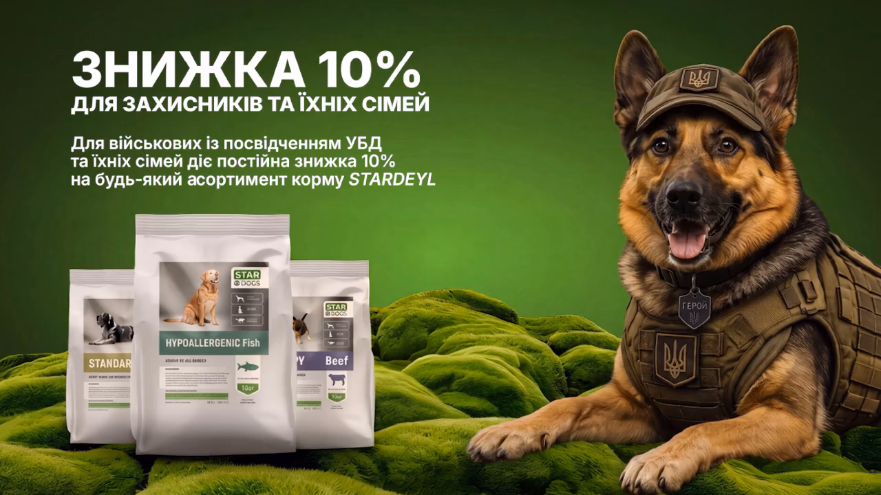 Головна Головна